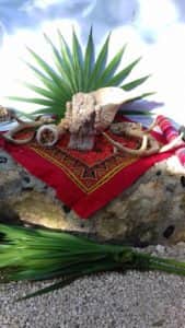 Bluestone Ayahuasca 7