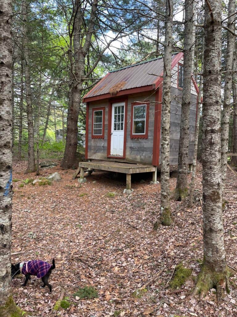 Rose Light Sanctuary 6