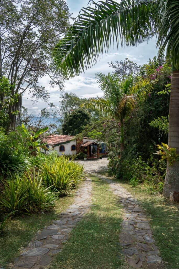 Harmonica Ayahuasca Retreat (formerly Guacamayo) 2