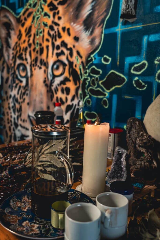 Harmonica Ayahuasca Retreat (formerly Guacamayo) 6