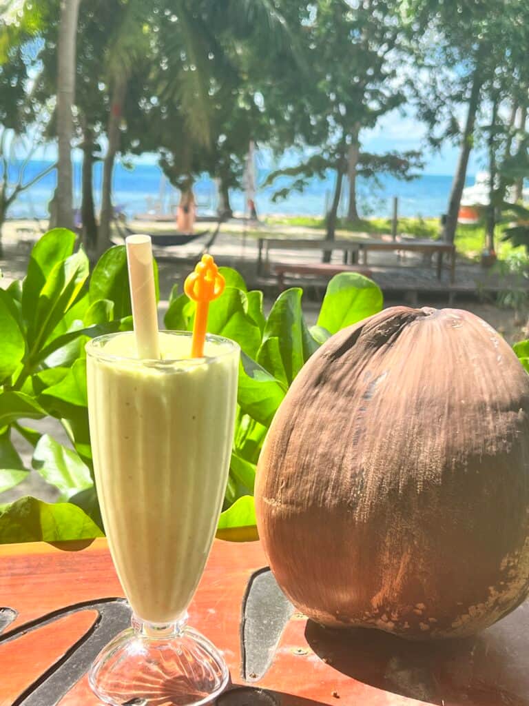 Freedom Wellness Retreat 4