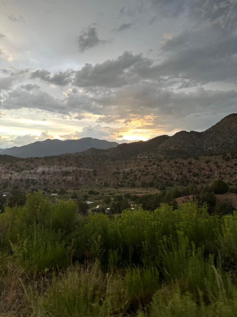 White Rabbit Collective 3