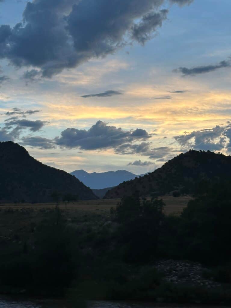 White Rabbit Collective 2