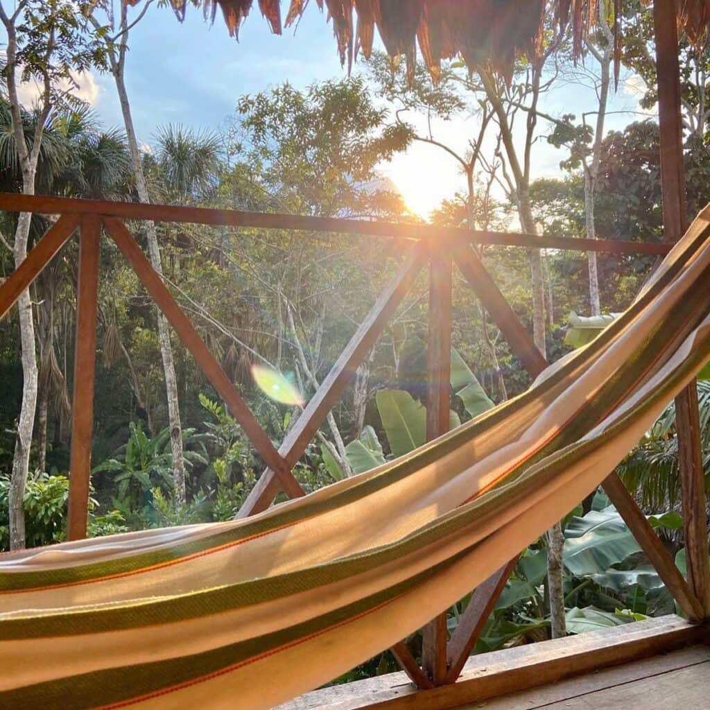 Authentic Ayahuasca & Teacher Plant Retreats 6