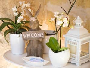 L’Gharix Temple Retreat 6