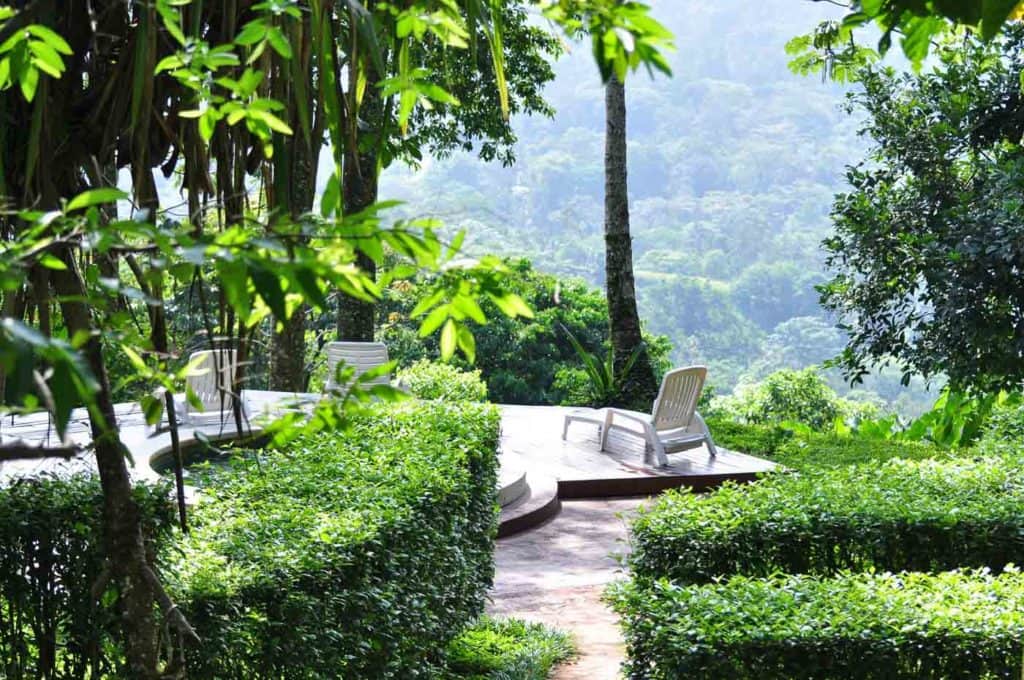 Samasati Wellness and Yoga Retreat 6