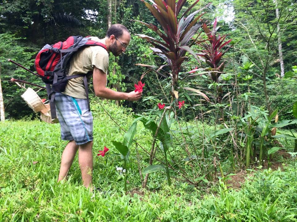 Samasati Wellness and Yoga Retreat 4