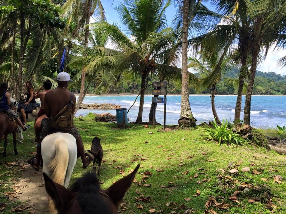 Samasati Wellness and Yoga Retreat 5