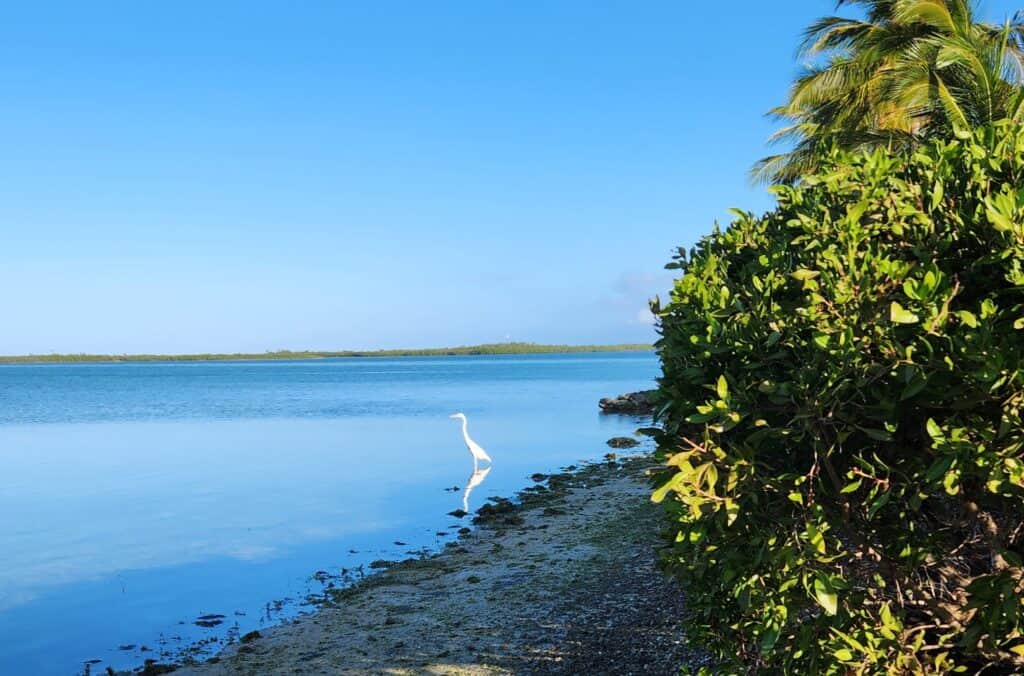 Namaste Healing + Retreat Center LLC 2