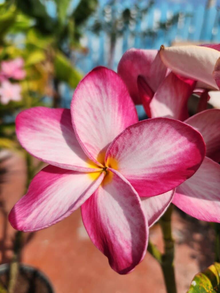 Namaste Healing + Retreat Center LLC 4