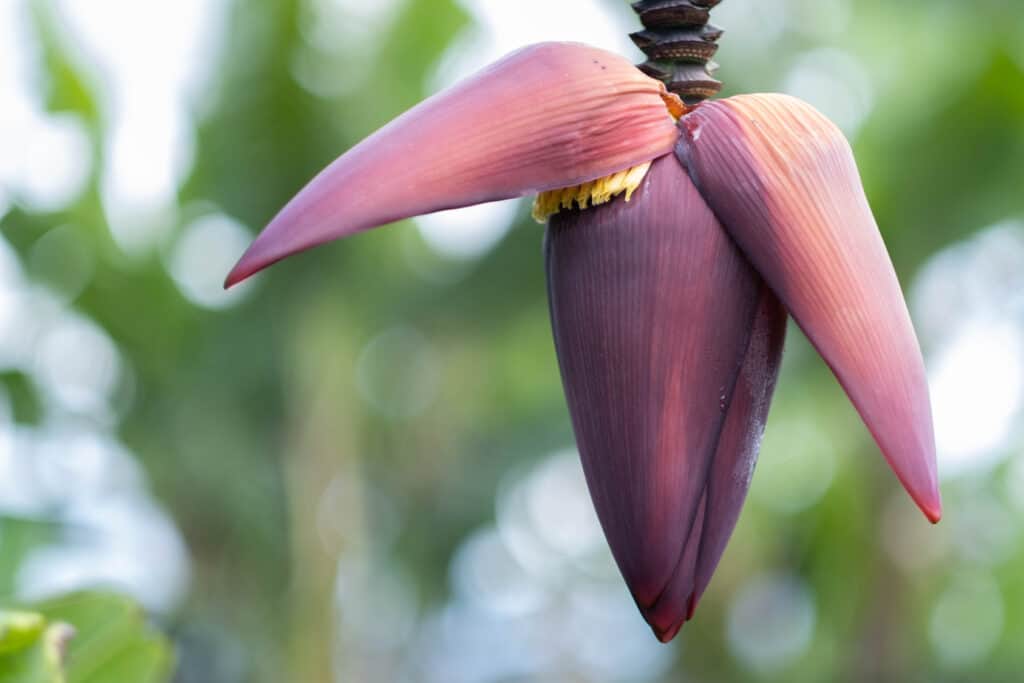 Windowtoyourhealth 3