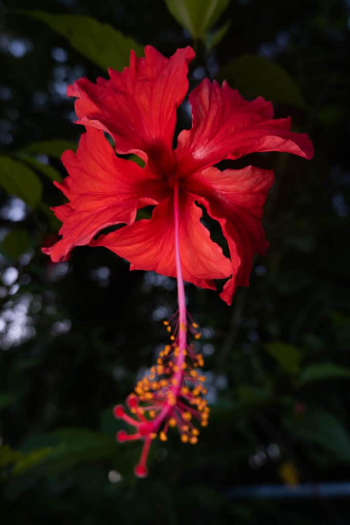 Windowtoyourhealth 2