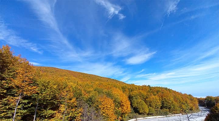 Kalikalos Holistic Centre Anilio 8