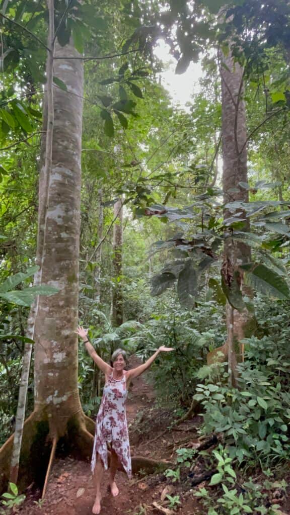 Casa Madreveda Holistic 6