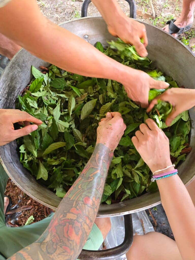Planta Maestra Ayahuasca Healing Retreat Center 6