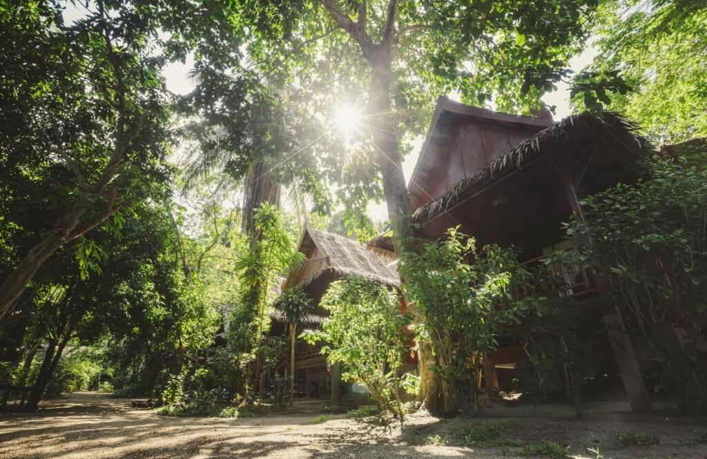 7 day Sativa Sabai Ritual Wellness Retreat Thailand 5