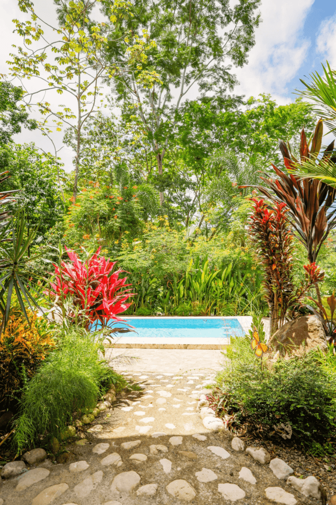 Goddess of Light Destination Retreat: Costa Rica 6