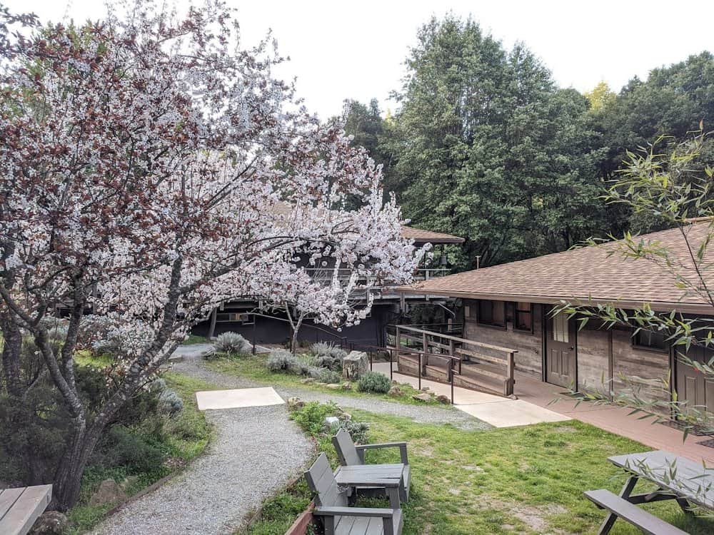 Rouse Relational Wellness 6