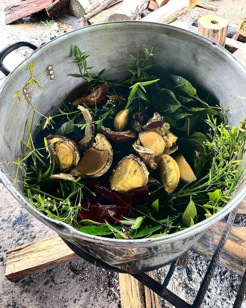 Aya Healing Retreats 6