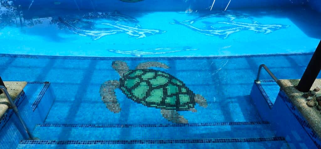 BellaVista Costa Rica - Curated Lifestyle Experiences 4