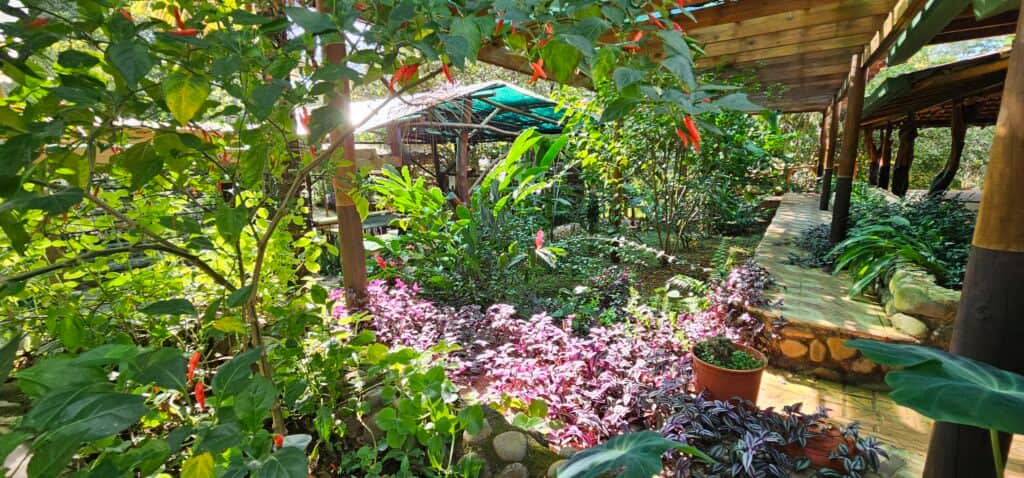 BellaVista Costa Rica - Curated Lifestyle Experiences 6