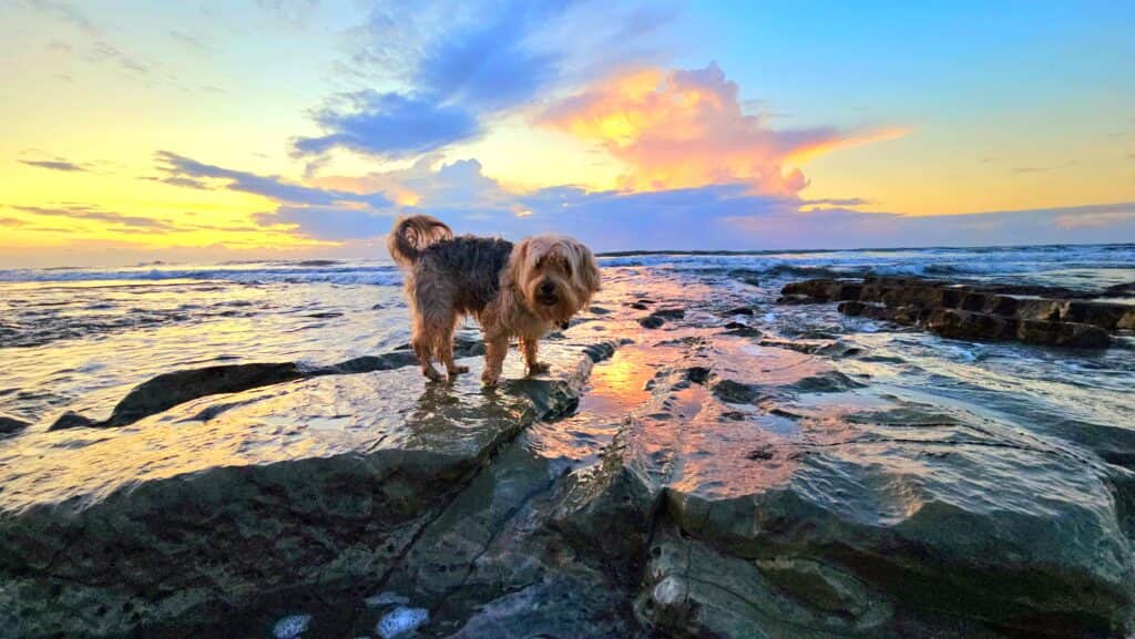 BellaVista Costa Rica - Curated Lifestyle Experiences 7