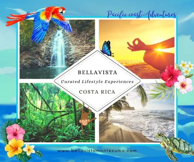 BellaVista Costa Rica - Curated Lifestyle Experiences 2