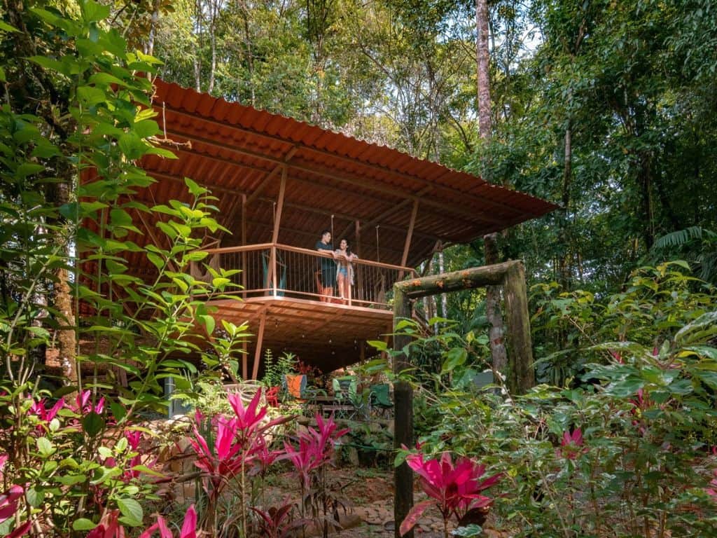 Luna Vida Adventures 1