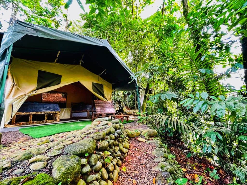 Luna Vida Adventures 3