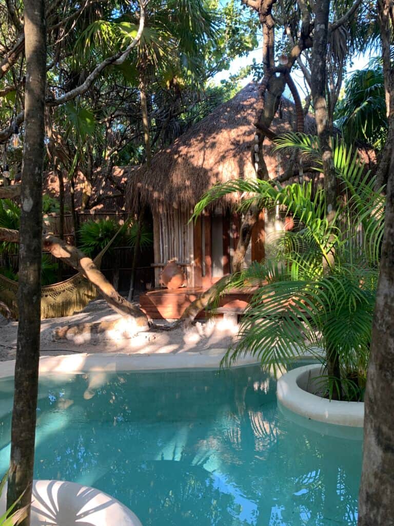 Yogattitude House of Wellness 6