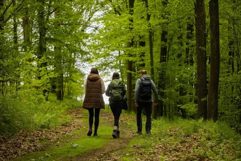 Heart & Mind Liberation Center 7