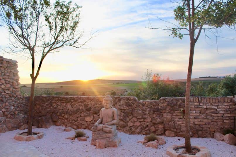 Inner Alchemy TVM Training Retreats 2