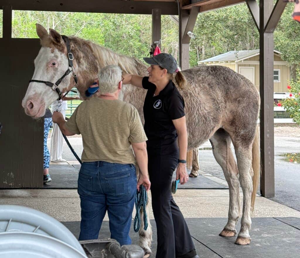 Angel's Animal Sanctuary 5