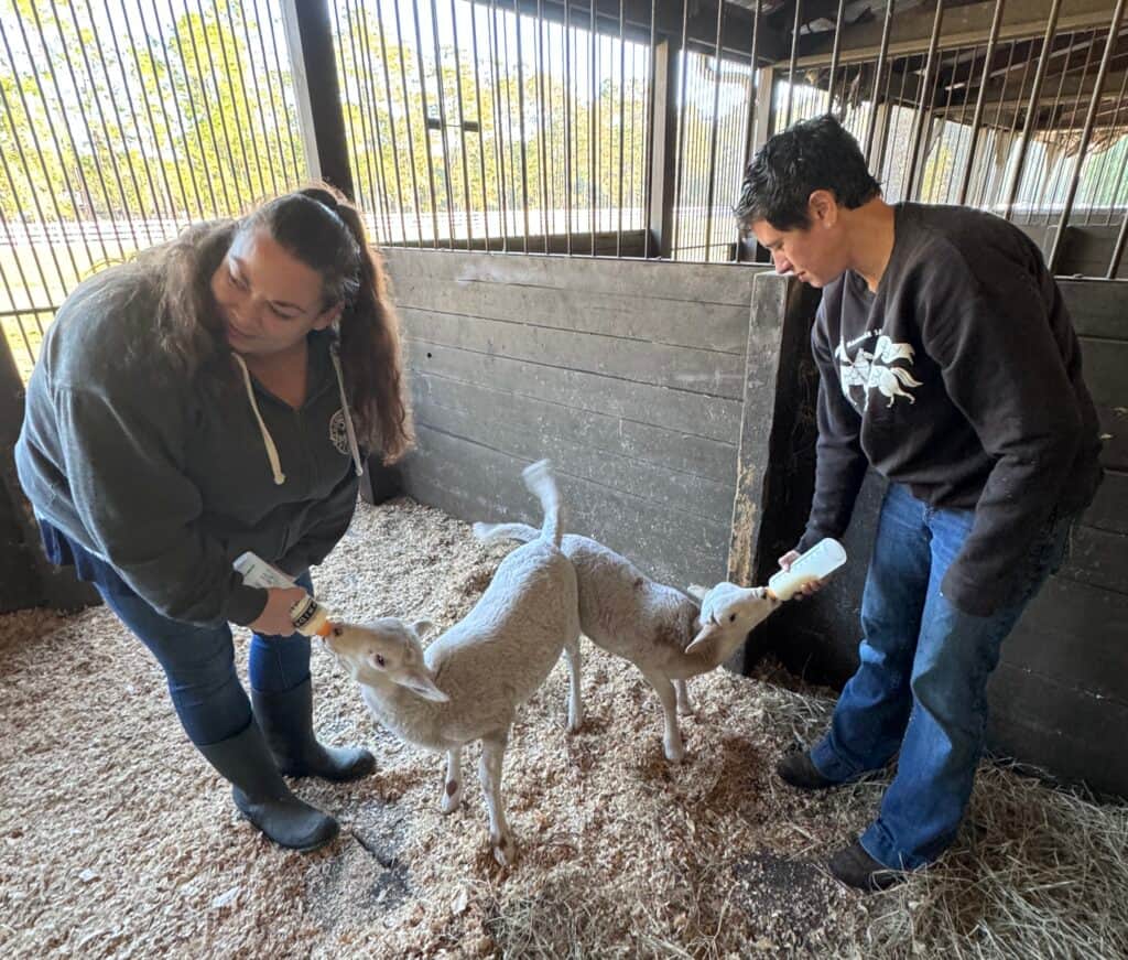 Angel's Animal Sanctuary 1