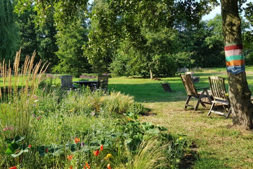 3 Day Psychedelic Therapy Retreat in the South of Netherlands 6