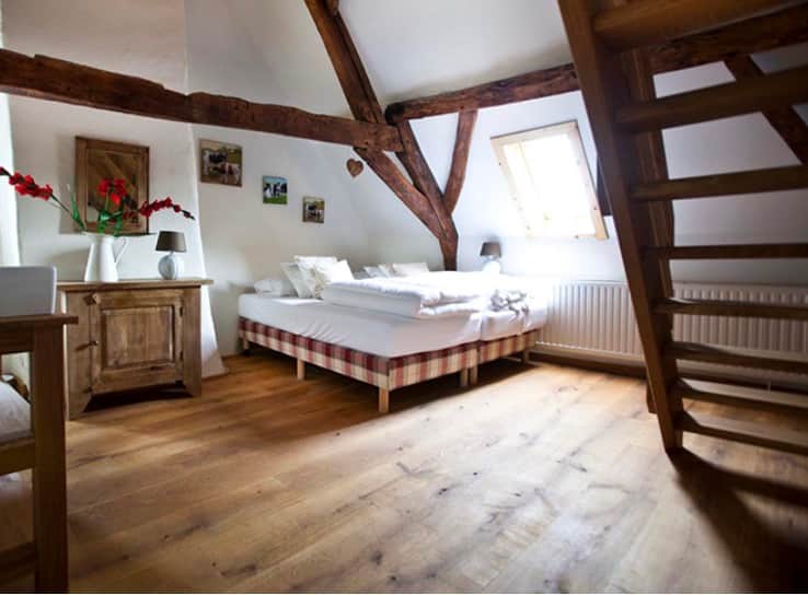 3 Day Psychedelic Therapy Retreat in the South of Netherlands 5