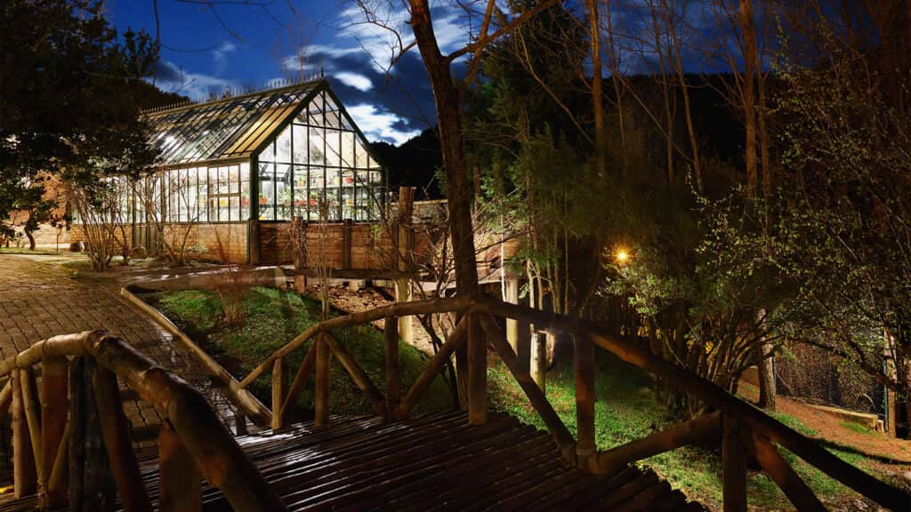 The Journey Of Remembering Holistic Retreat 7