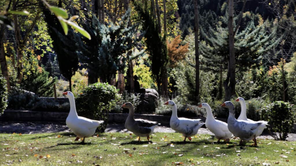 The Journey Of Remembering Holistic Retreat 4