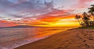 Yogamour Yoga and Healing Arts Center 8