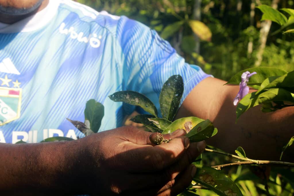 Selva Madre Healing Center 1