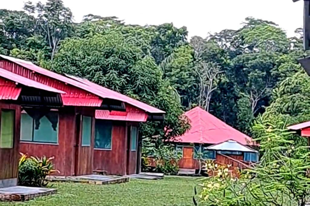 Selva Madre Healing Center 4