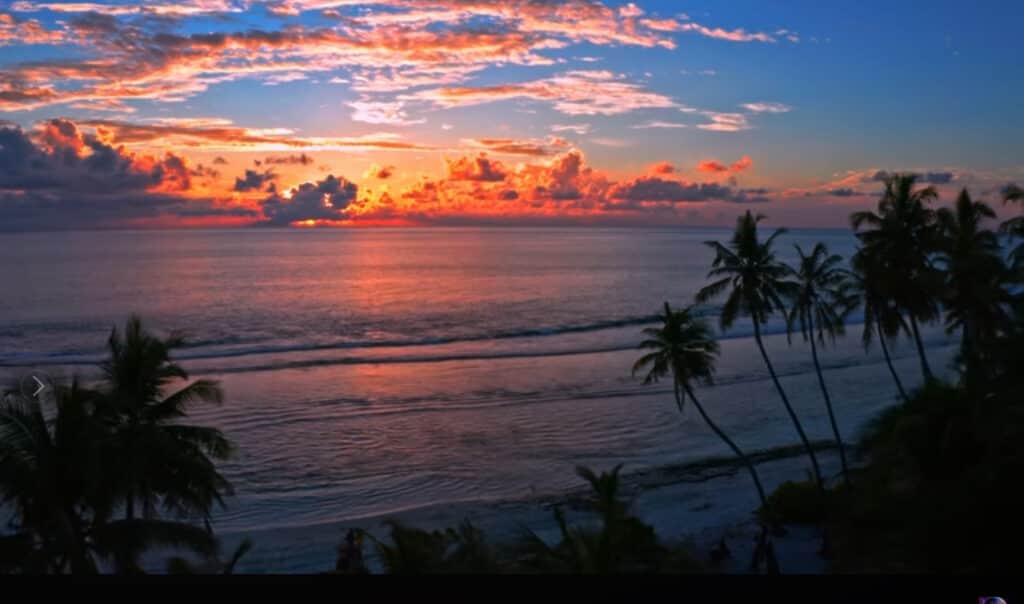 Mystic Treehouse Meditation Retreat 6