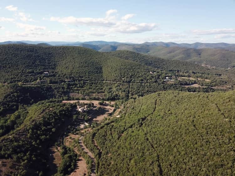 Limitless Humans Movement 8