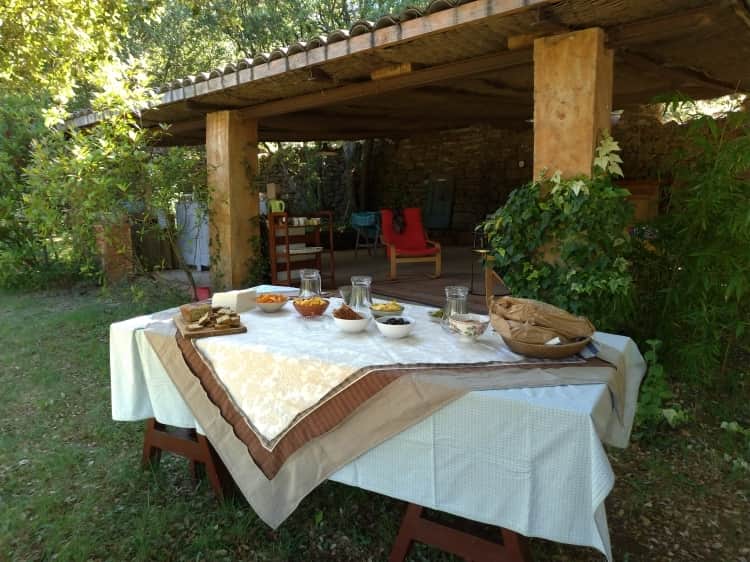 Limitless Humans Movement 5