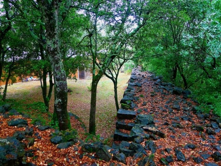 Limitless Humans Movement 2