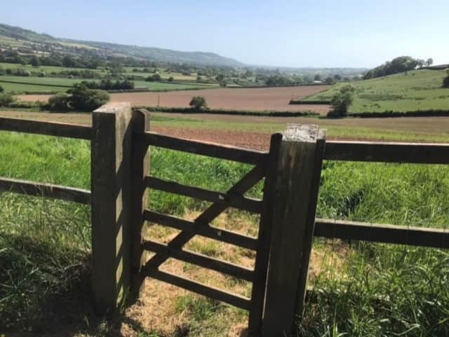 Hills Farm Wellness Retreats 5