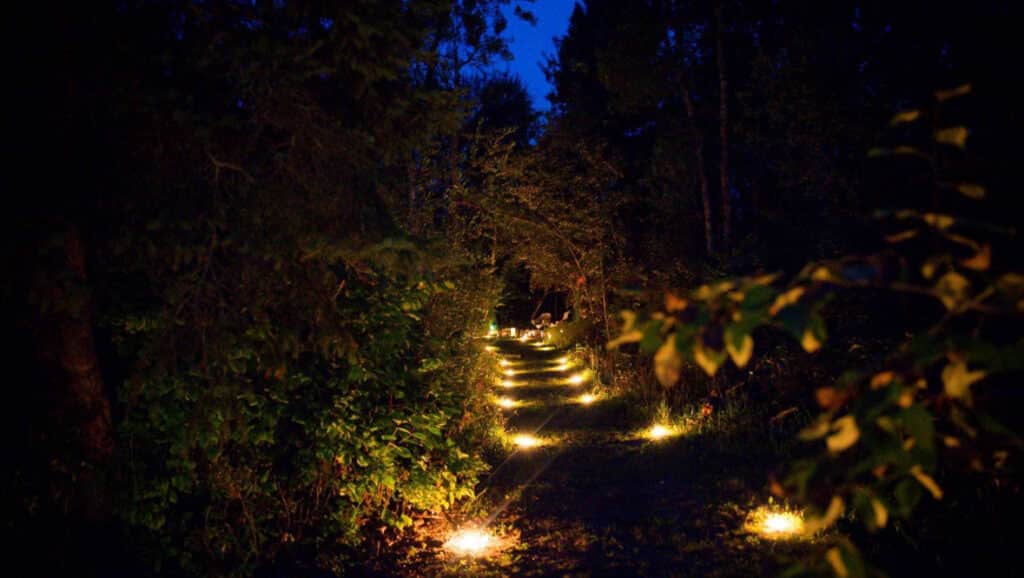 Blue Moon Retreats 2