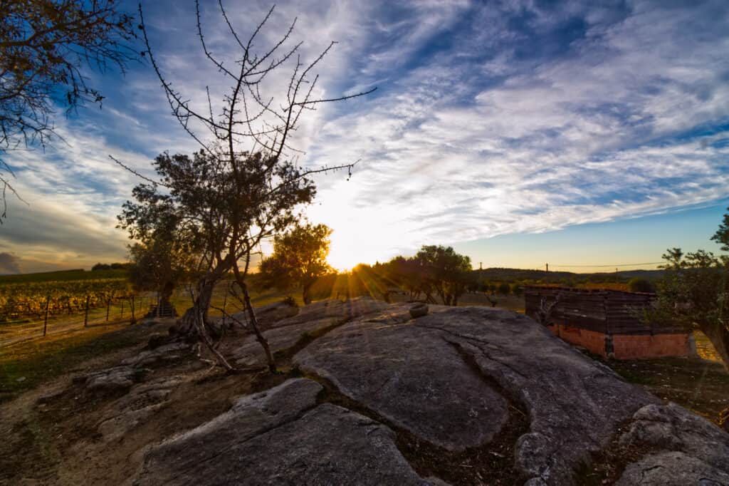 Tabula Rasa Retreat™ 7