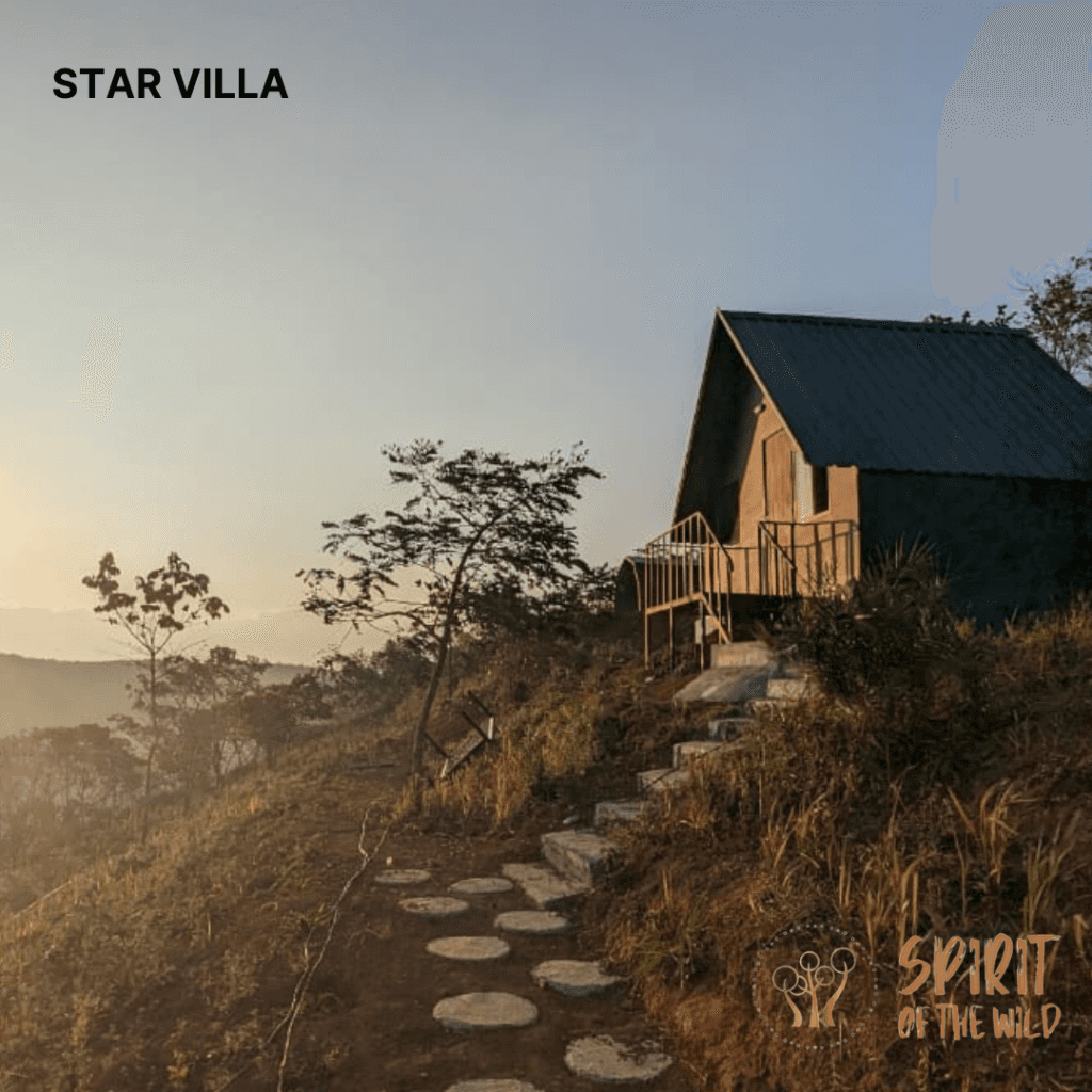 Spirit of the Wild 1