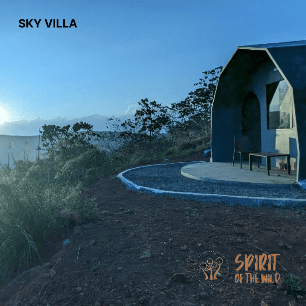 Spirit of the Wild 2